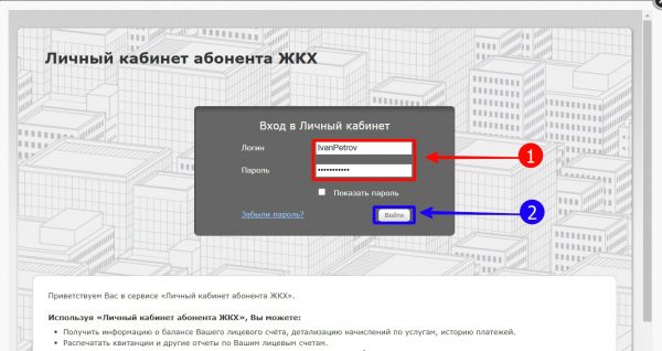 Ввести логин и пароль